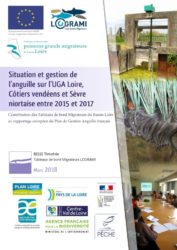 Icon of LOGRAMI - Situation et gestion de l’anguille sur l’UGA Loire 2015 - 2017